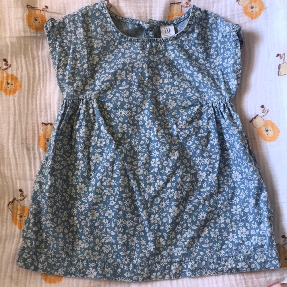 Baby Gap Chambray Flower Dress